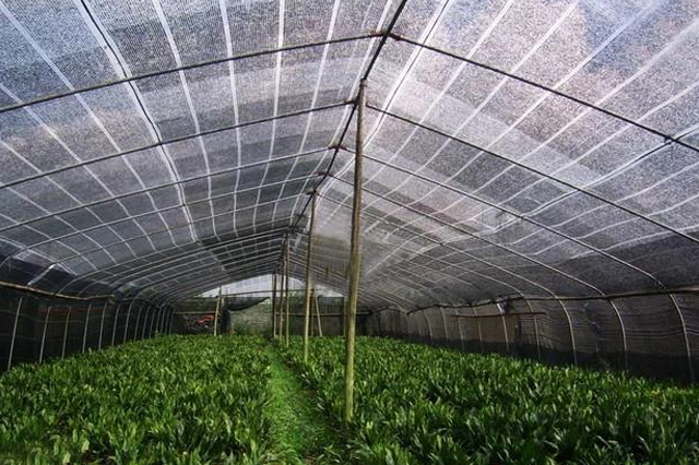 rb88下载:资讯_游民星空- 打造及时有趣的游戏资讯中心